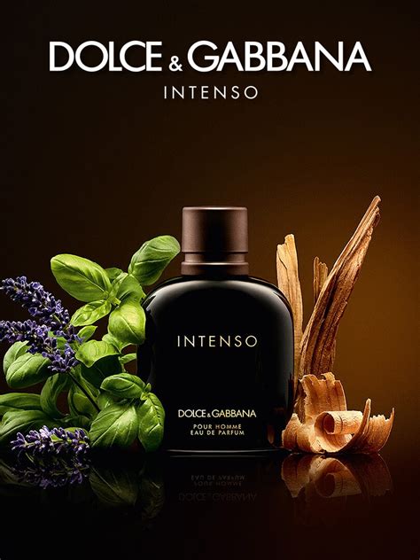 dolce and gabbana intenso notes